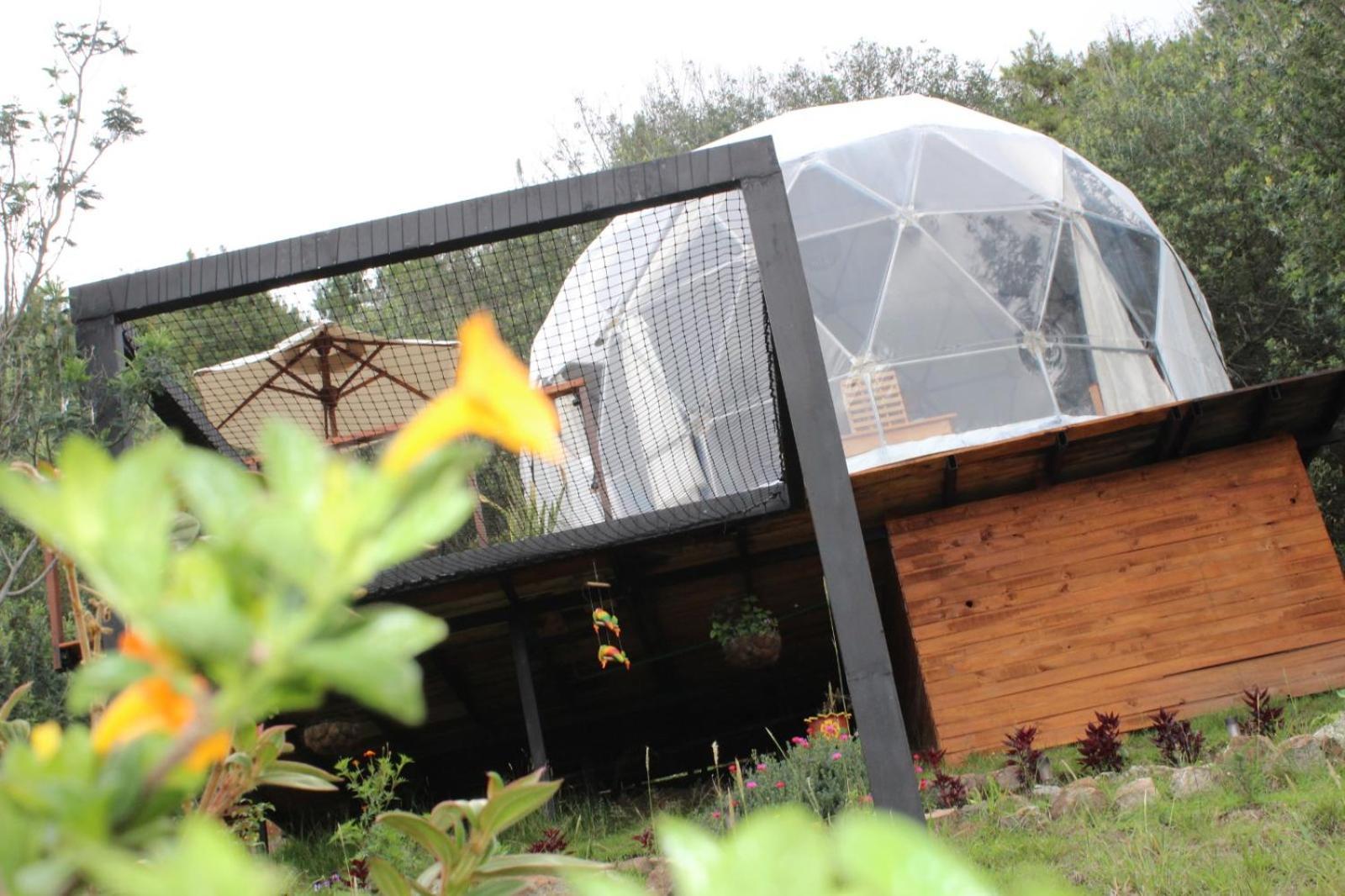 גוואטביטה Glamping La Villa מראה חיצוני תמונה